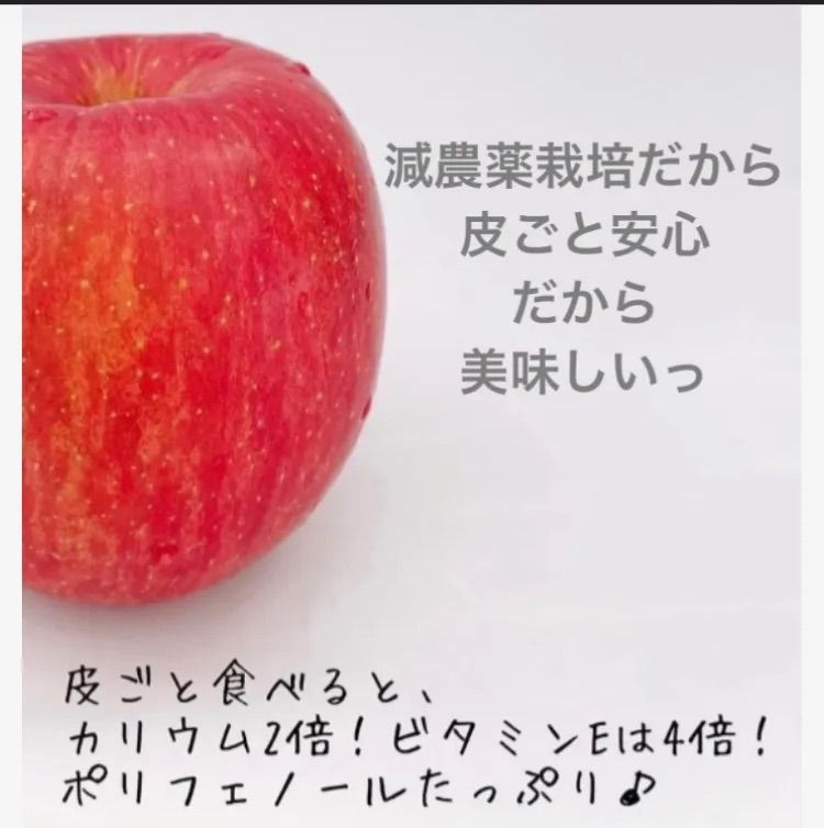 減農薬栽培山形県東根市産 ふじりんご 大人気❣️訳ありBランク2キロ箱