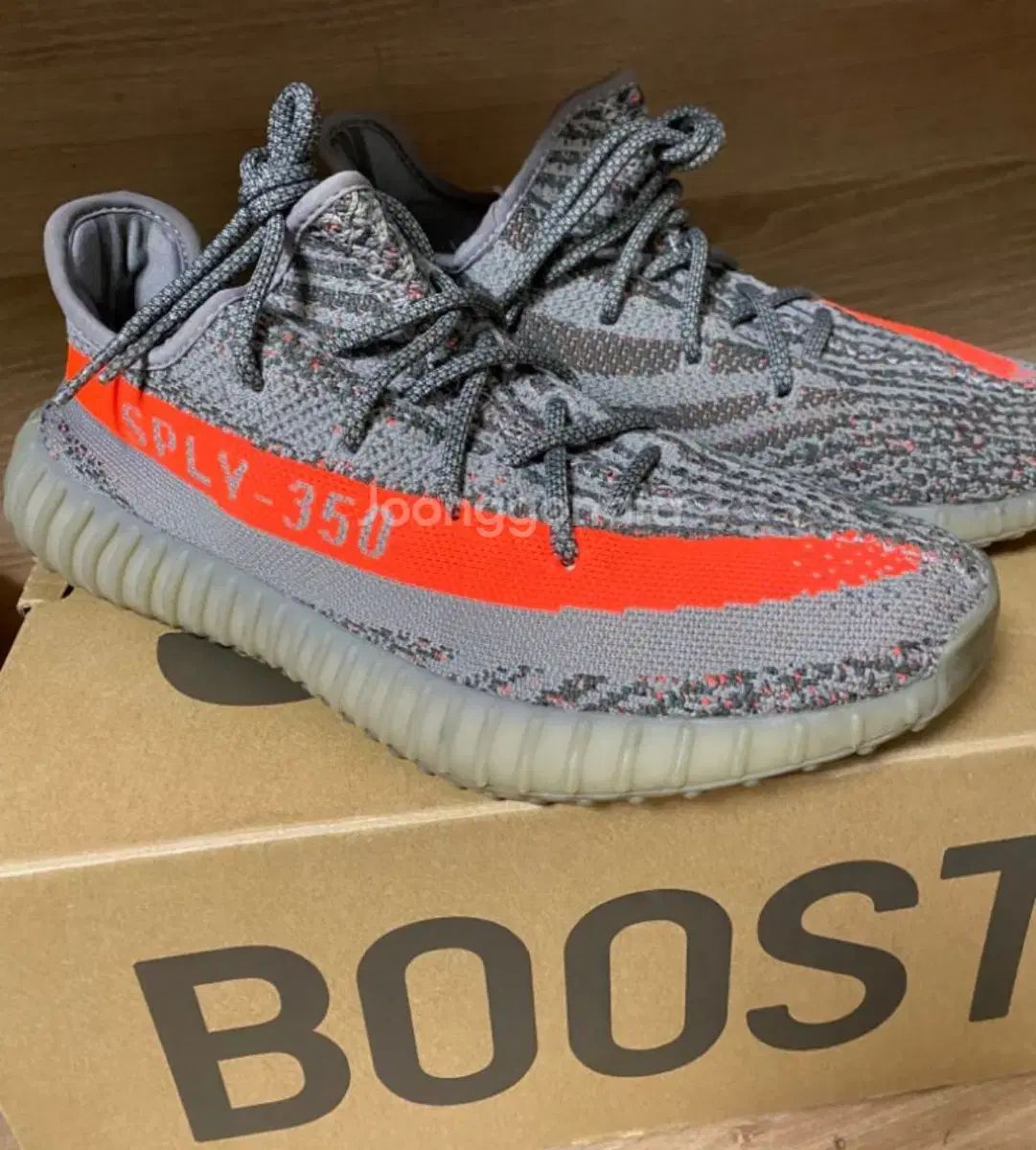 イージーブースト 350v2 ベルーガ 280