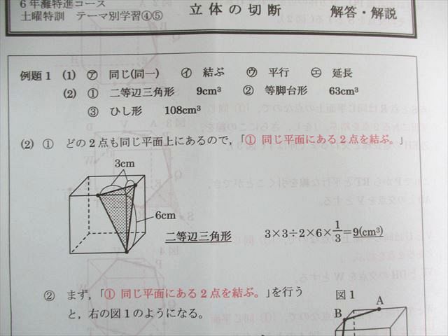 US02-130 日能研 灘特訓テーマ別学習 算数 立体の展開図/ままこだて