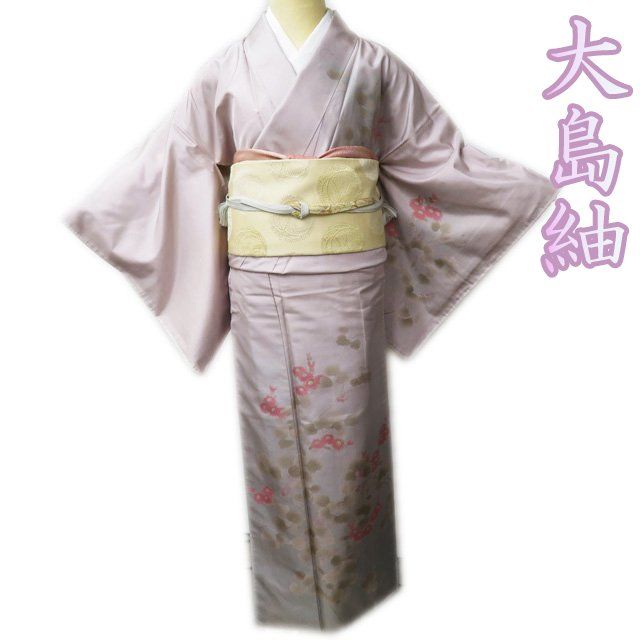 大島紬 着物 中古 正絹 袷 セミフォーマル 花の図 菊 刺繍 灰梅