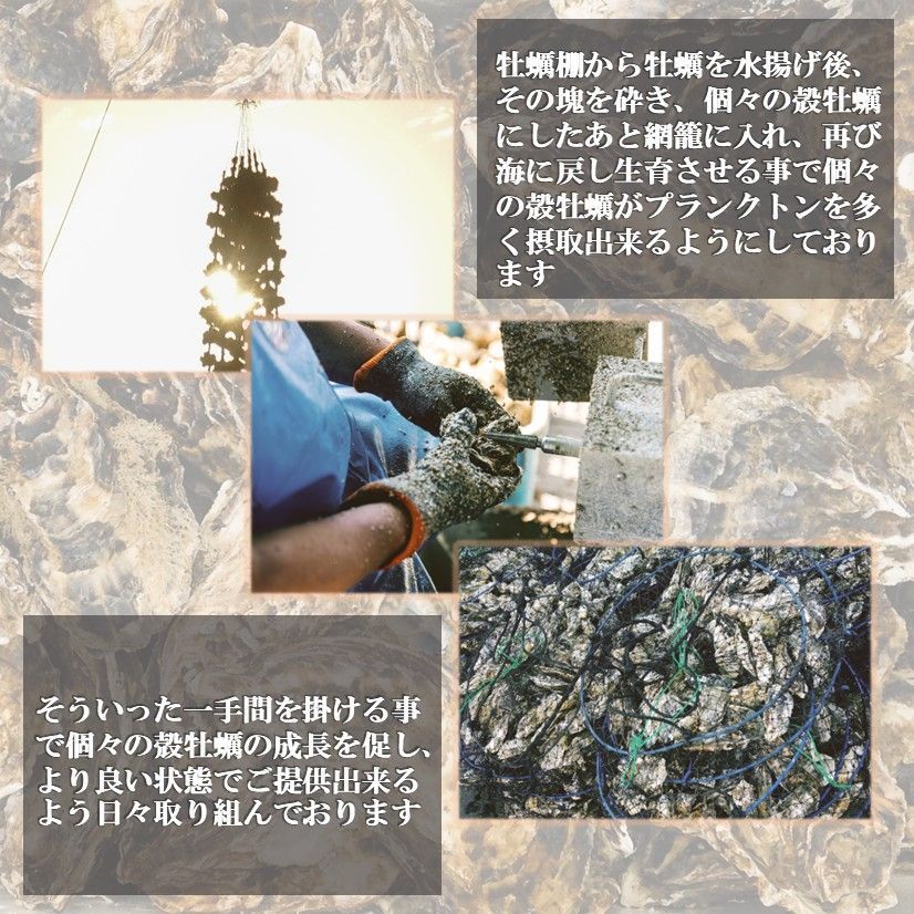 宮城 石巻