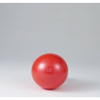 ダンノ DANNO ギムニク ボールPLUS 55 レッド D5421R