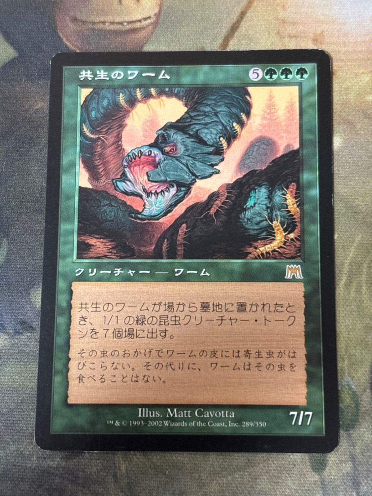 nv5 44 共生のワーム/Symbiotic Wurm ONS オンスロート 日本語 JP MTG