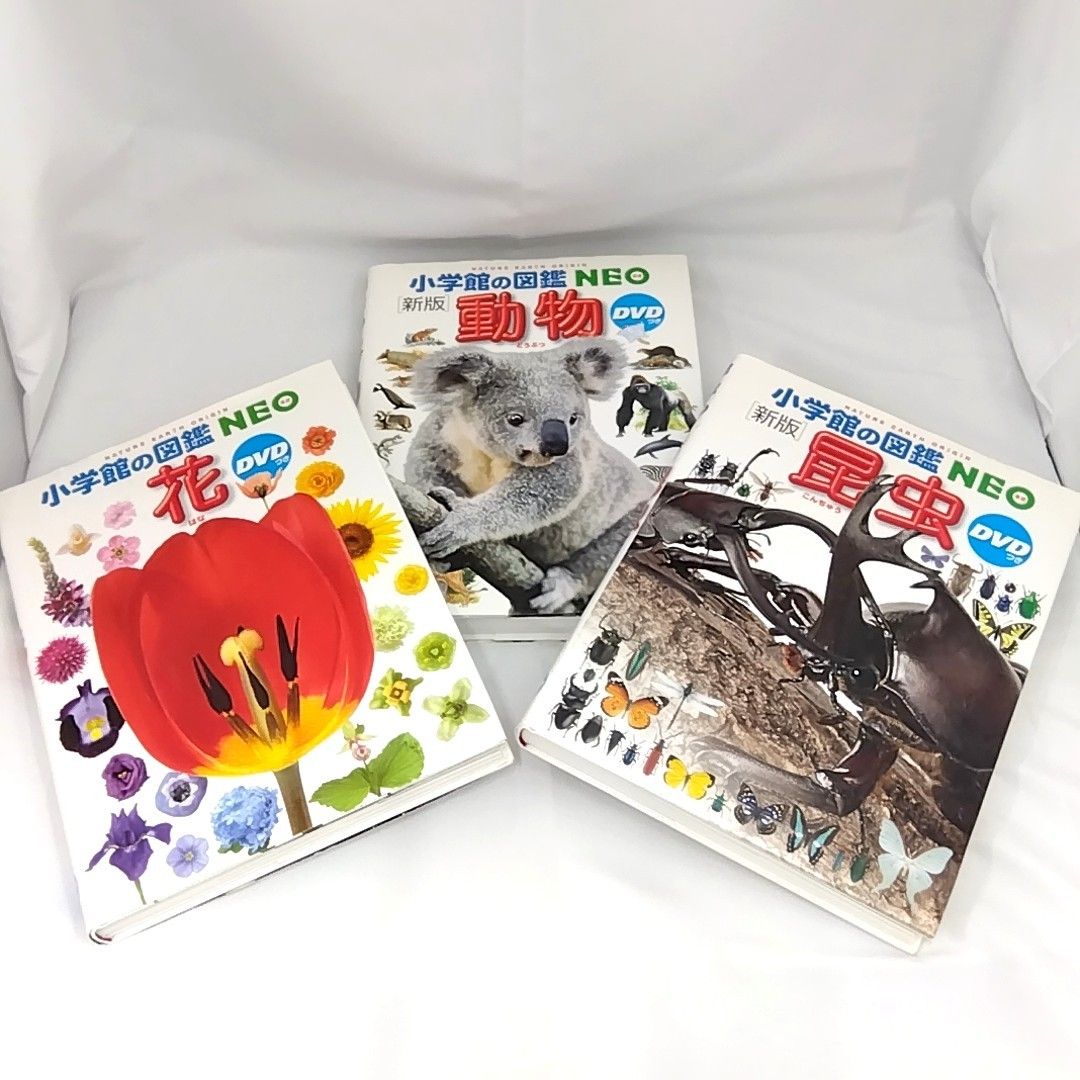 全てDVD付属】 小学館の図鑑 NEO 4冊セット 花 新版 昆虫 動物 魚 