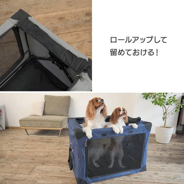 猫 小動物