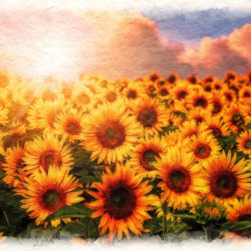 和紙の絵写真 「ひまわり畑と夕日の入道雲」 パネル付き 60x40cm 絵画
