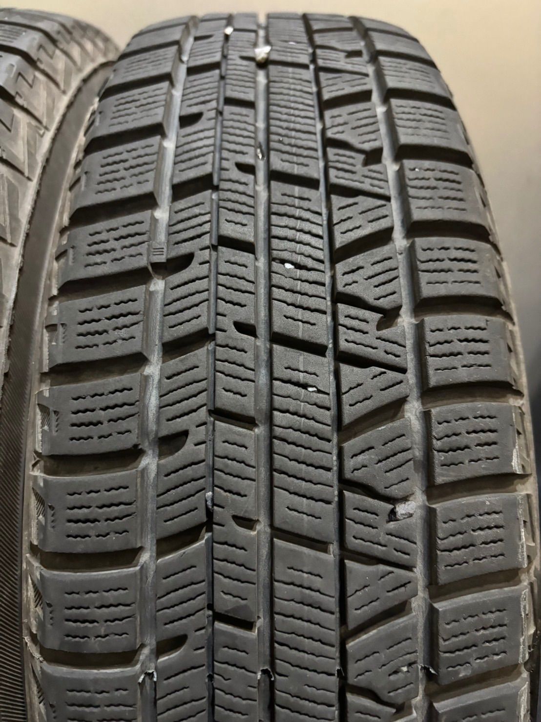 キャスト 南1-K425