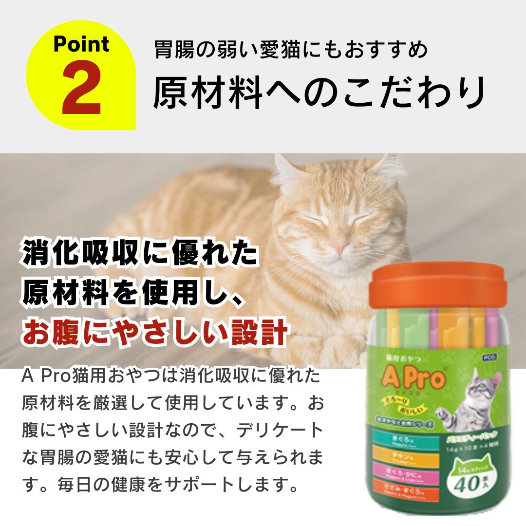 地域猫 保護猫