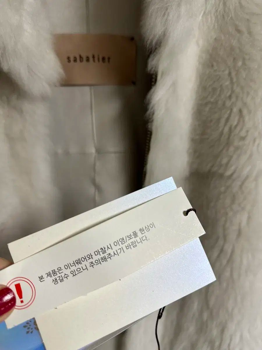 サバティエ ラムズ