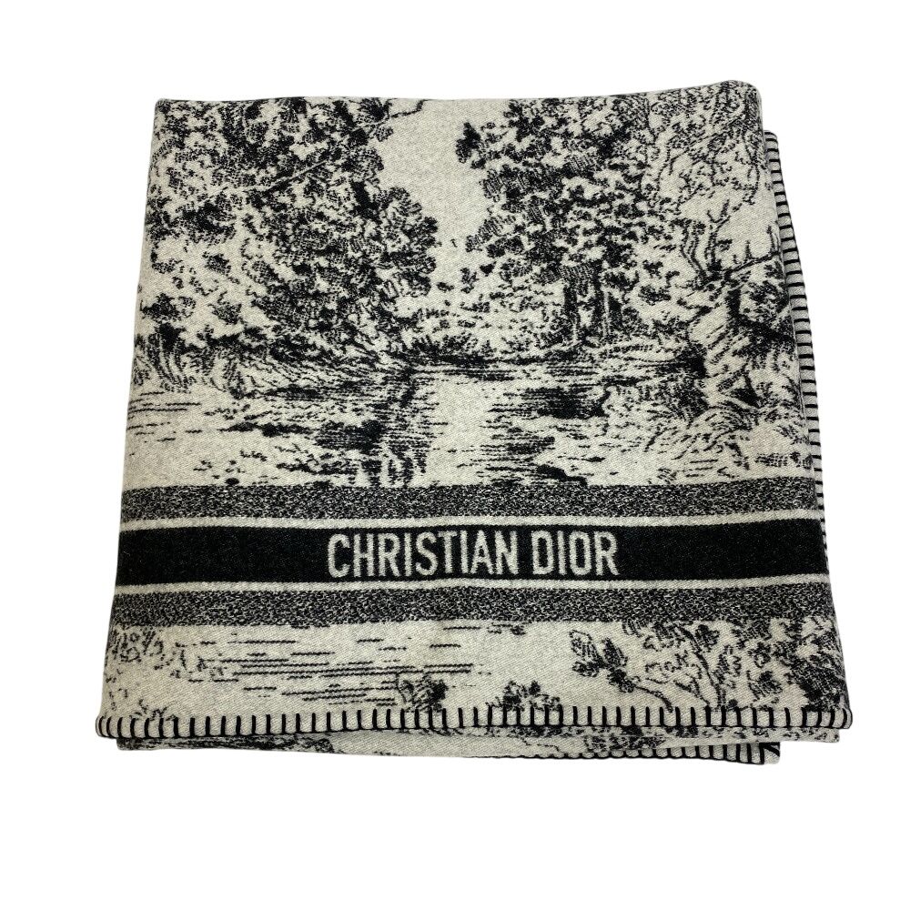 5％OFF フォロワークーポン！！】Dior ディオール 51NOE350ISPE 