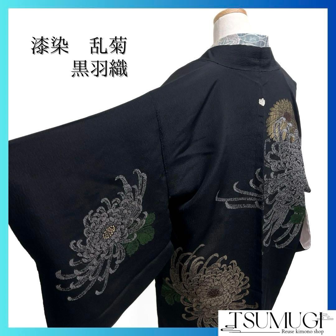 黒羽織 漆染 乱菊 菊 金糸 五三桐 着物 075a d