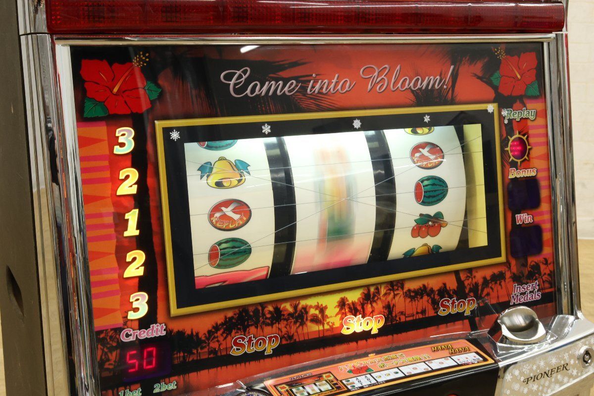 ハナハナ 悪スイカバージョン