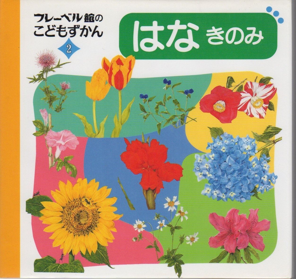 はなきのみ (フレーベル館のこどもずかん 2) | 日本の古本屋 はなきのみ ⁄ 通販 おうちでキンダーブック