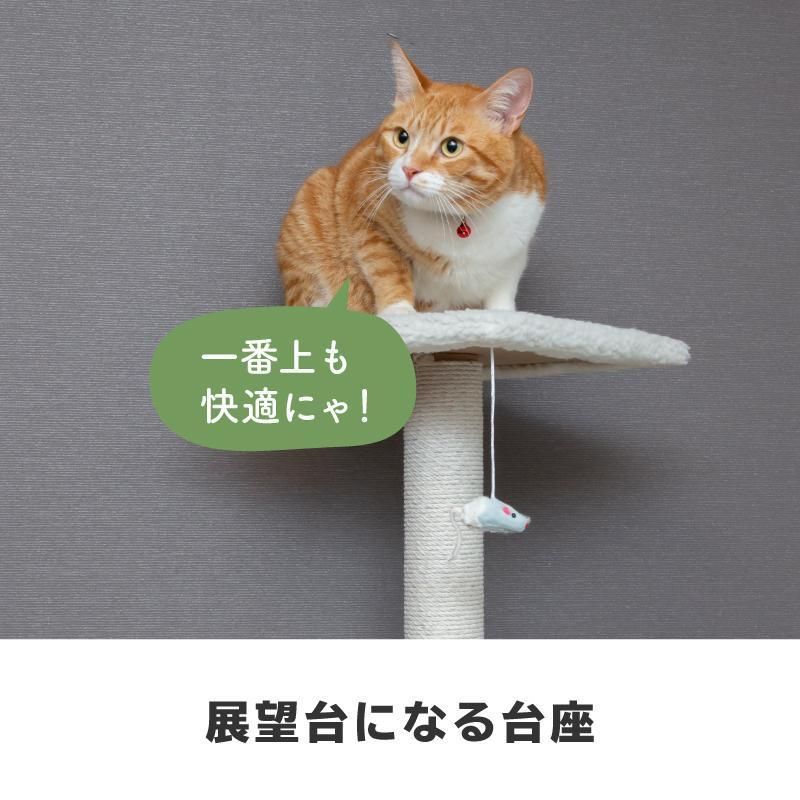 猫タワー