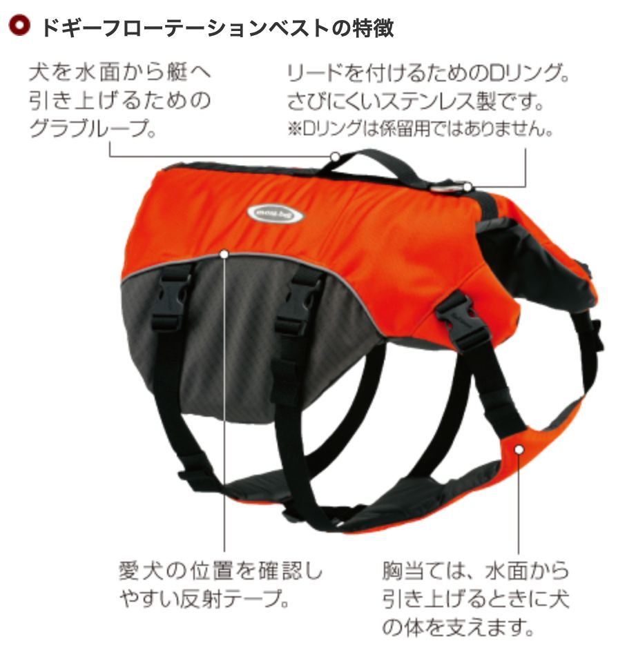 フィッシング