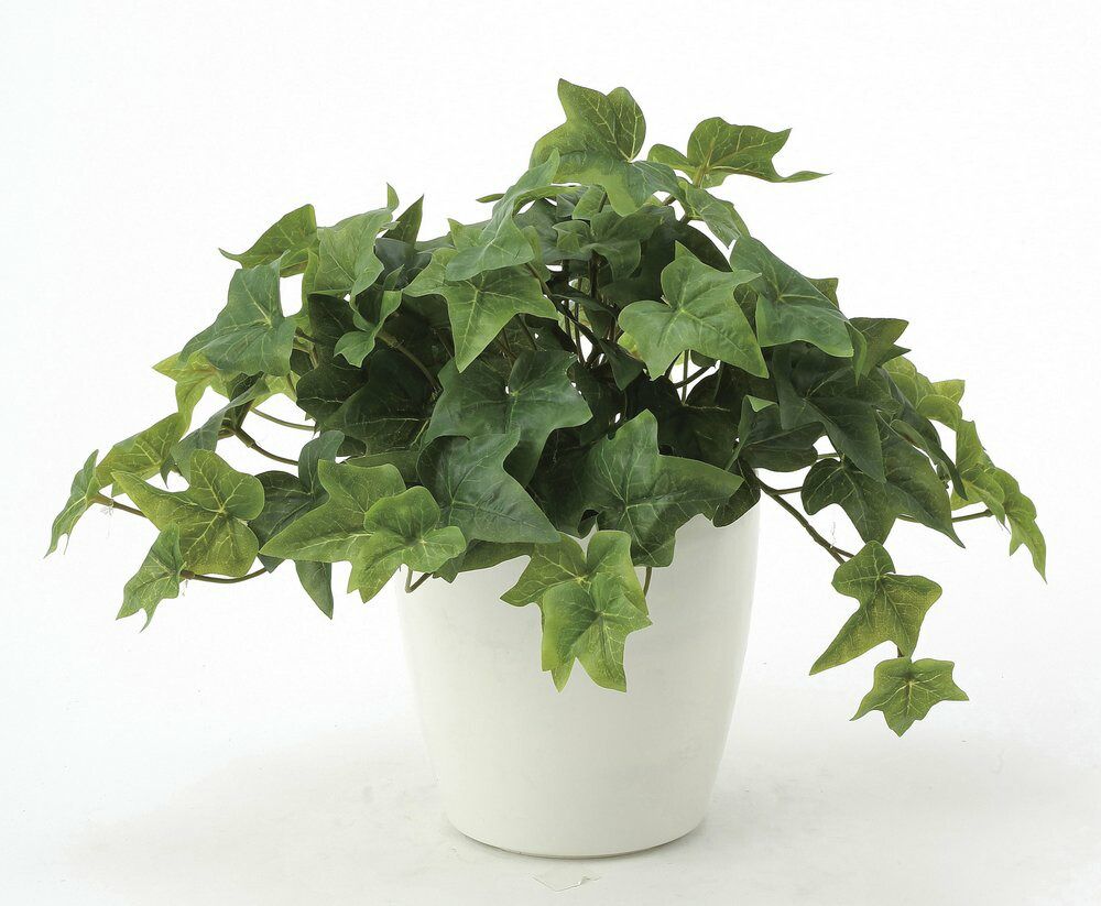 引き取り限定　福岡　人工観葉植物 約190cm 緑 引き取り限定 福岡 人工観葉植物 約190cm 緑 引き取り限定 福岡 人工