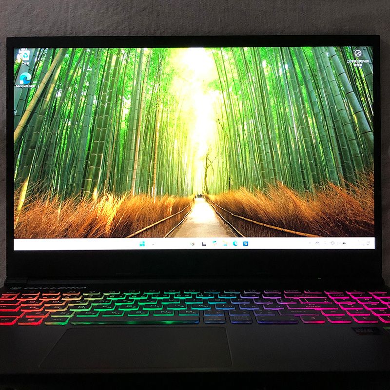 ◇ジャンク品◇ゲーミングノートPC パソコン GALLERIA ガレリア RL5C