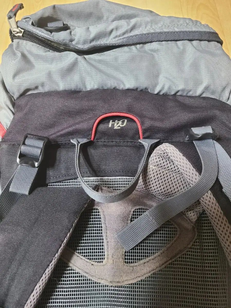 プロ 登山