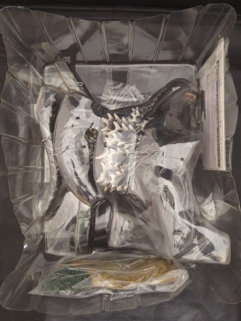 【美品】 東宝大怪獣シリーズ ゴジラ(1989年版) 少年リック ダメージver 美品】 東宝大怪獣シリーズ ゴジラ(1989年版) 少年リック