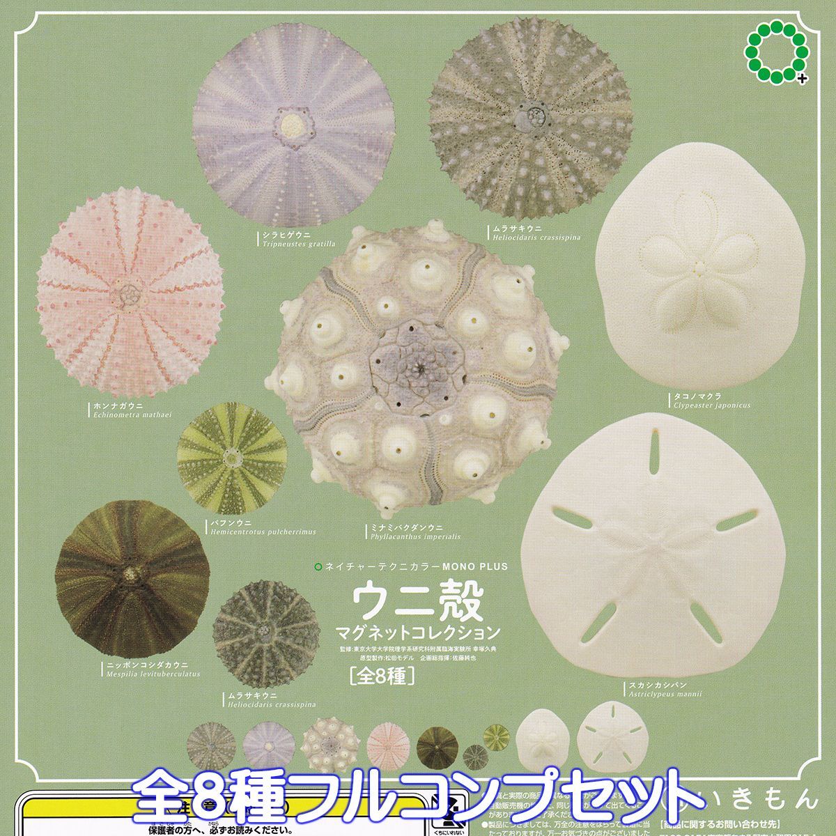 ネイチャーテクニカラー 小笠原 コンプリートセット 全8種