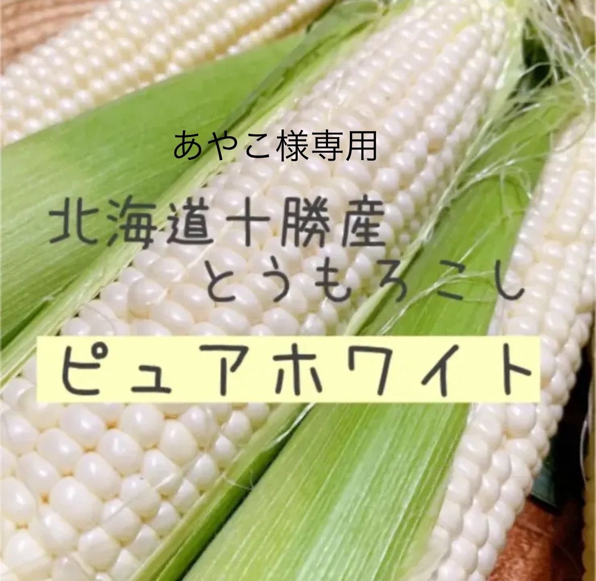あやこ様専用 （長尾綾子様専用】細野の漢気を応援する権