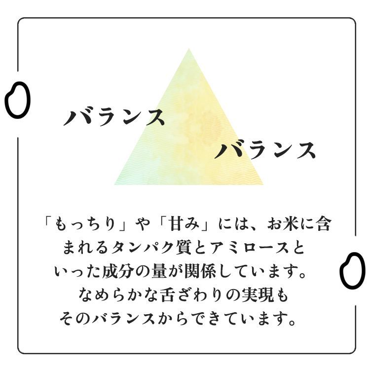 米10キロ