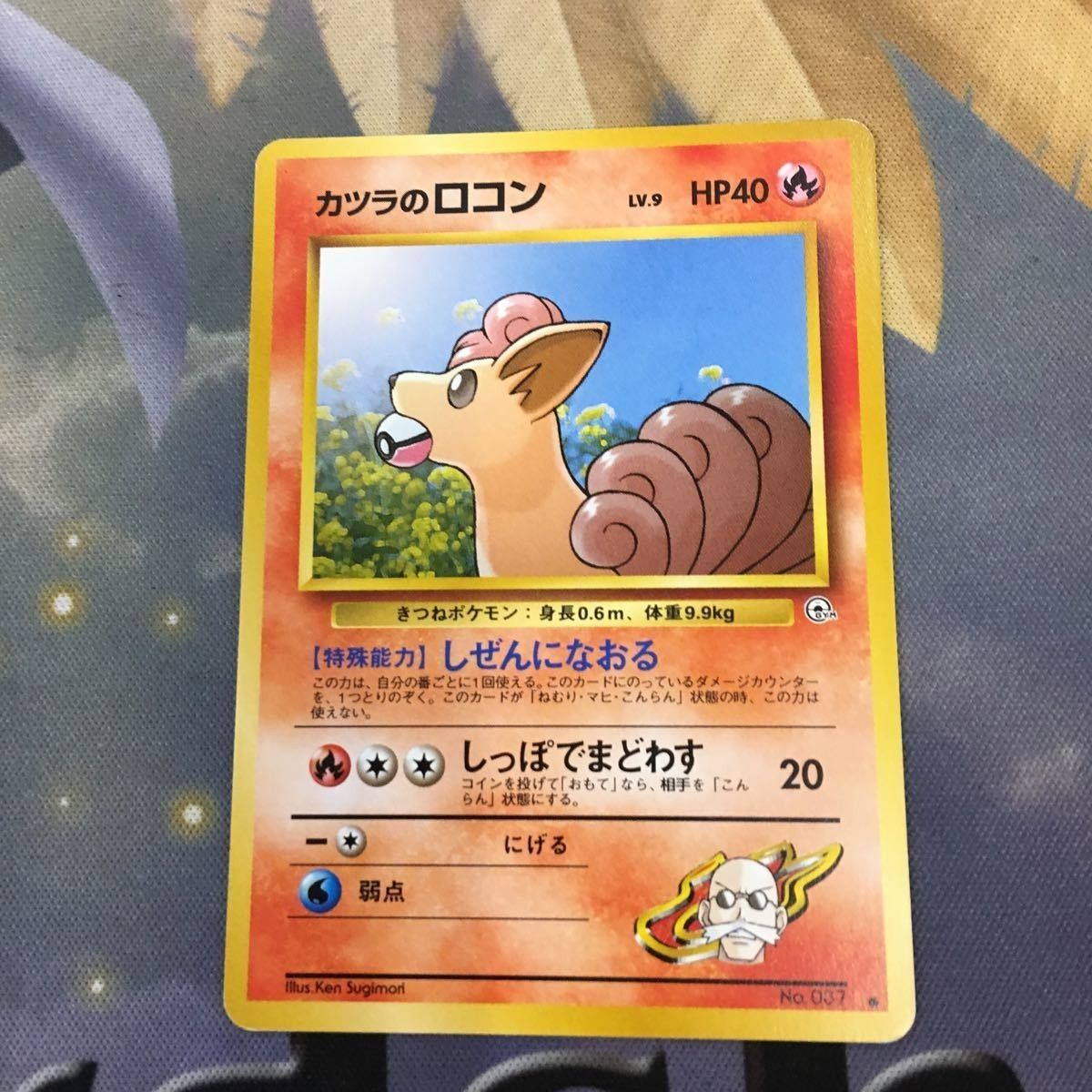 む1 ポケモンカード 旧裏面 カツラのヒトカゲ カツラのロコン