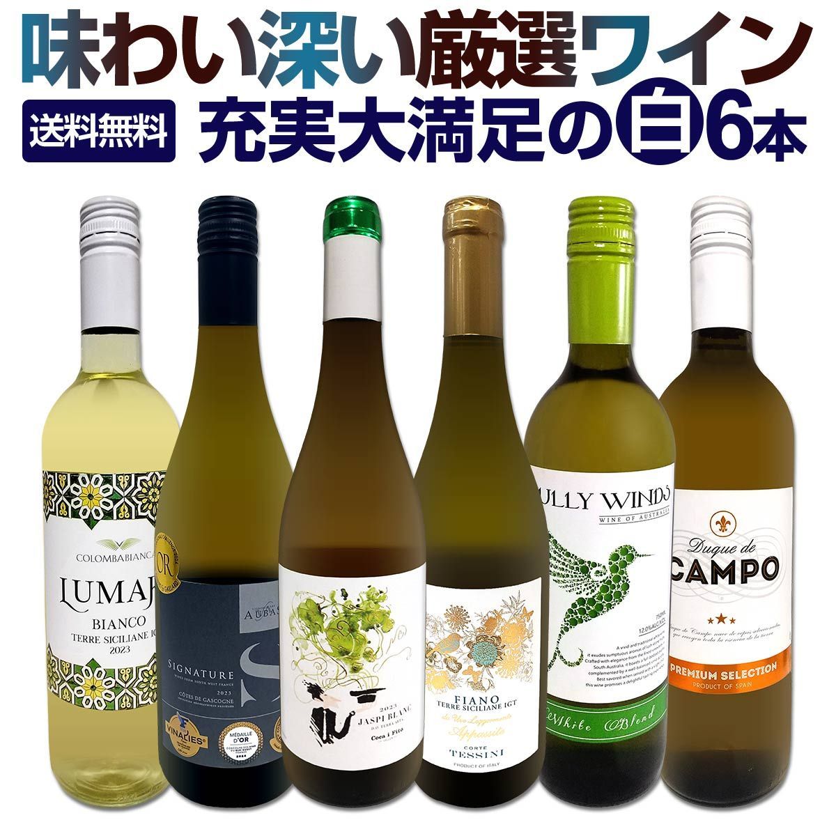 第224弾 当店厳選 旨白ワイン 白ワインを存分に楽しむ 味わい深いスーパーセレクト白6本