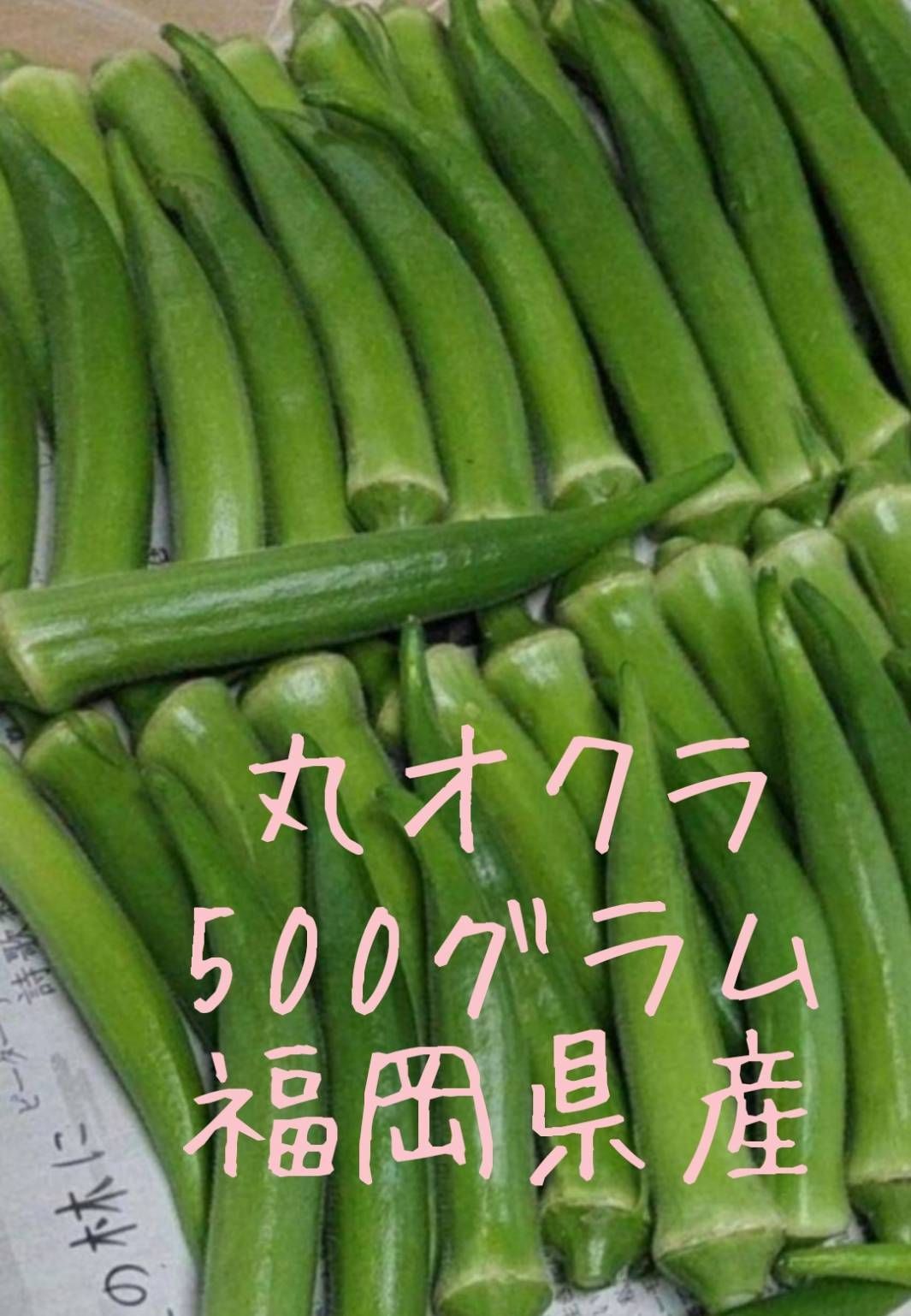 丸オクラ(朝採れ)500g　福岡県産