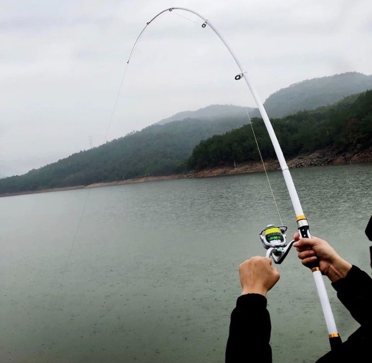 ロッド カーボン 2.1m 海釣り 川釣り 白 船竿 GHOTDA - ⭐︎とある輸入