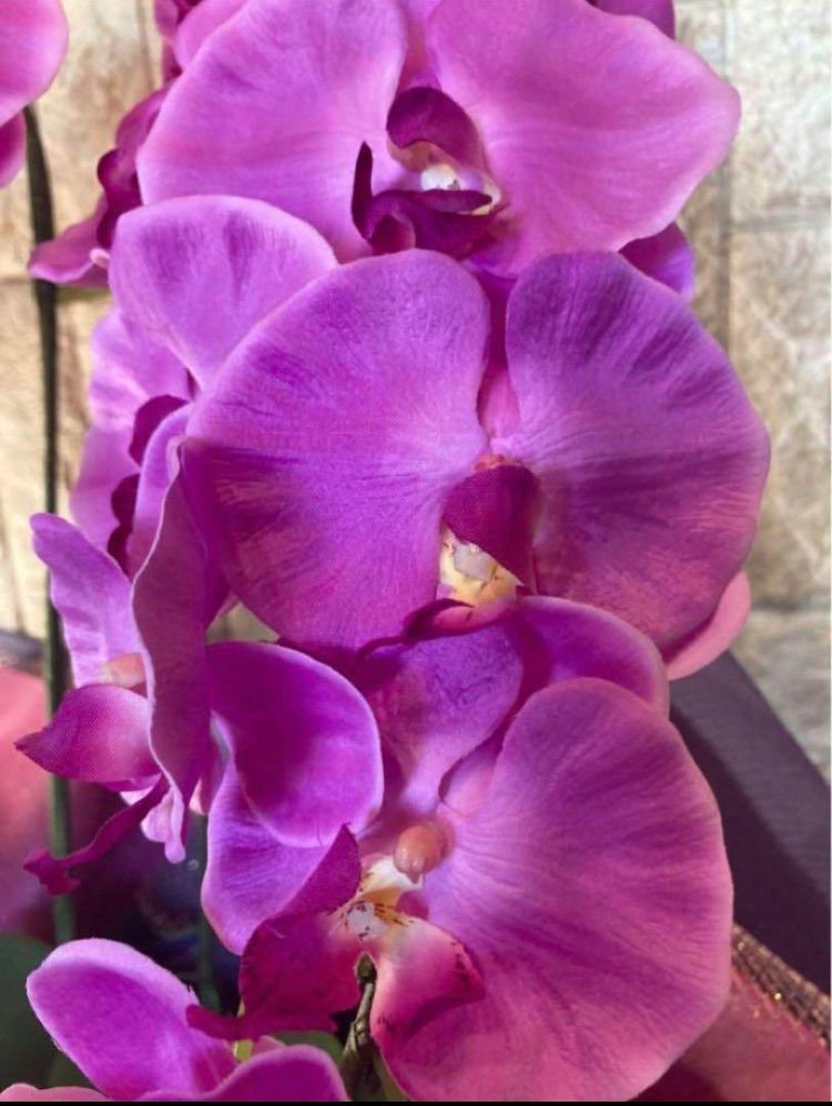 光触媒 人工観葉植物 ウォールグリーン フェイクグリーン ショップ