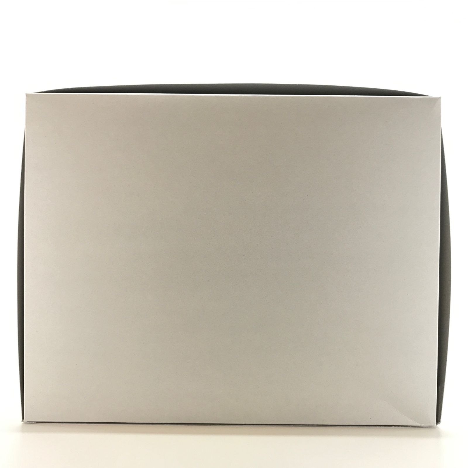 BANDAI SPIRITS プラモデル 1 100 MG ザクウォーリア ライブコンサートVer. 機動戦士ガンダムSEED DESTINY ガンダムベース 内袋