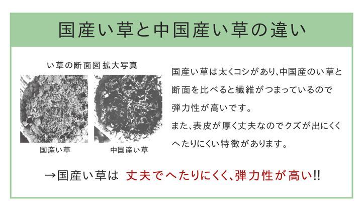 純国産 い草ラグカーペット 格子柄 『Fキャロル』 約191×250cm - メルカリ