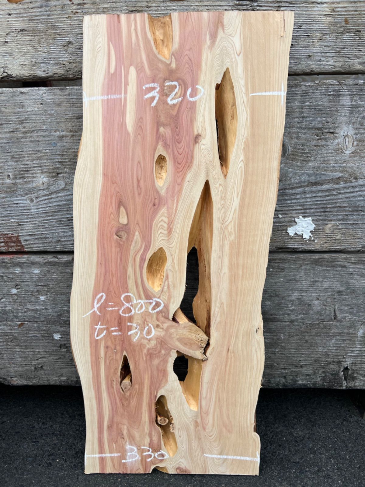 カイズカイブキ 一枚板 無垢材 DIY ウッドプレート