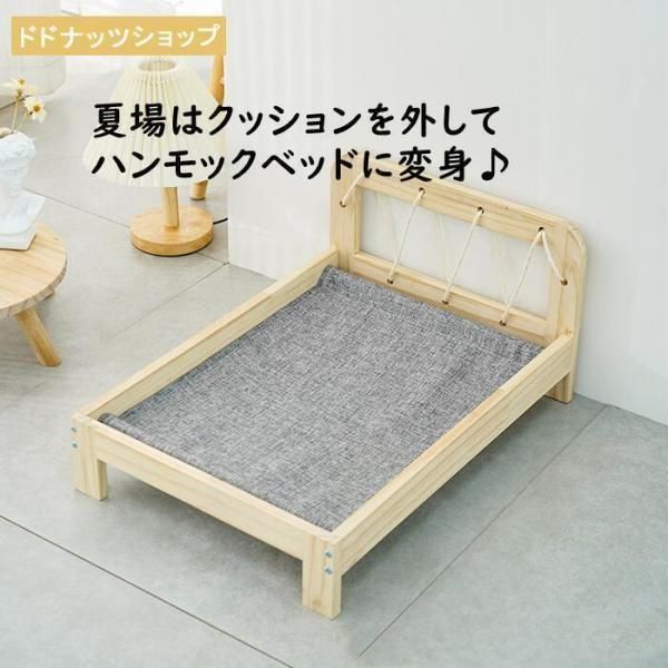 猫 犬