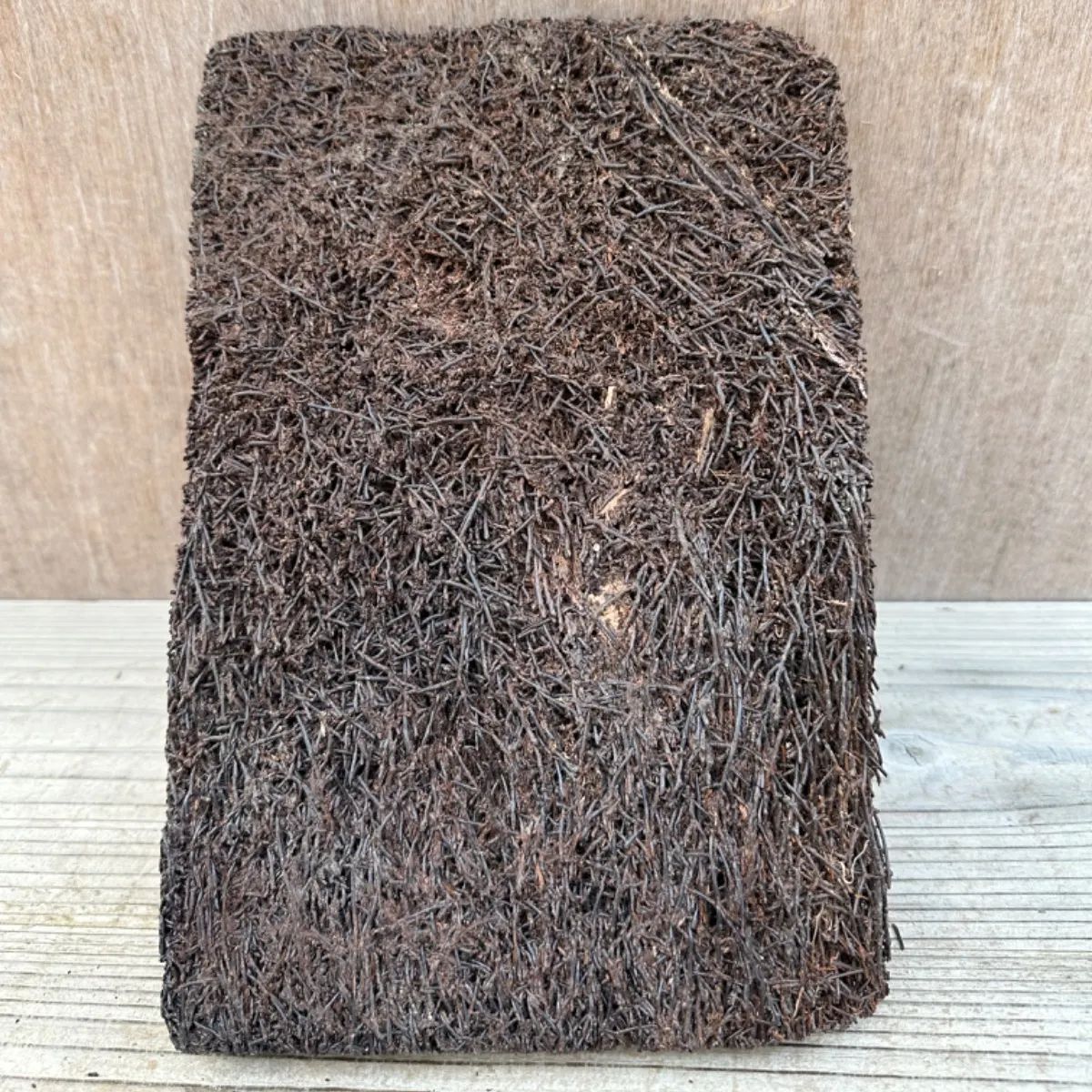 ヘゴ板 約20X30cm① ヘゴ 板 フェゴ 観葉植物 観葉 植物 塊根植物 塊根 コーデックス 着生植物 着生 シダ植物 シダ エアプランツ ...