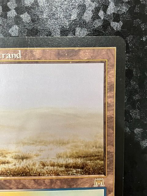 ◎MTG 316/350 Flooded Strand/溢れかえる岸辺 英語 - メルカリ