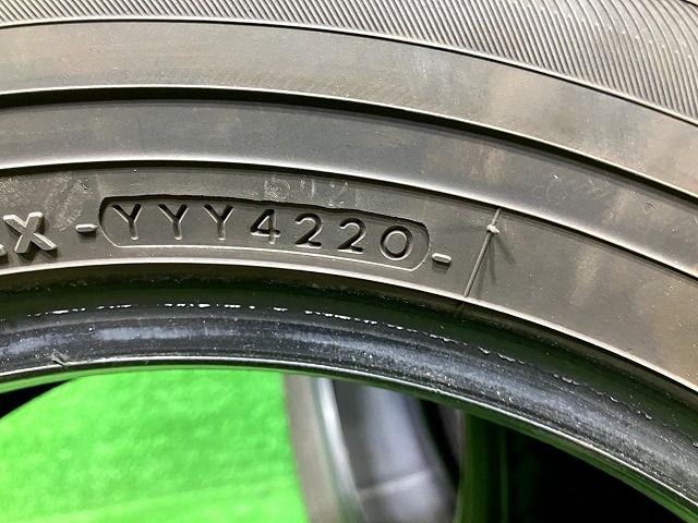 サマー ヨコハマ