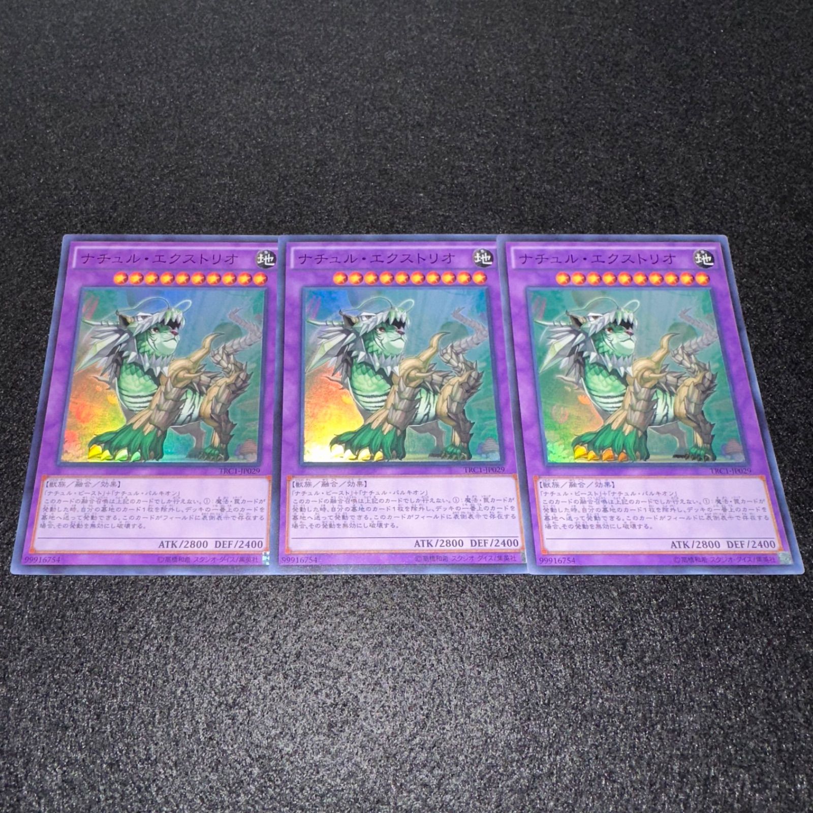 遊戯王　ナチュル・エクストリオ シークレット　dt ars10 psa ナチュル・エクストリオ | ノーマルパラレル | ドラゴンスター