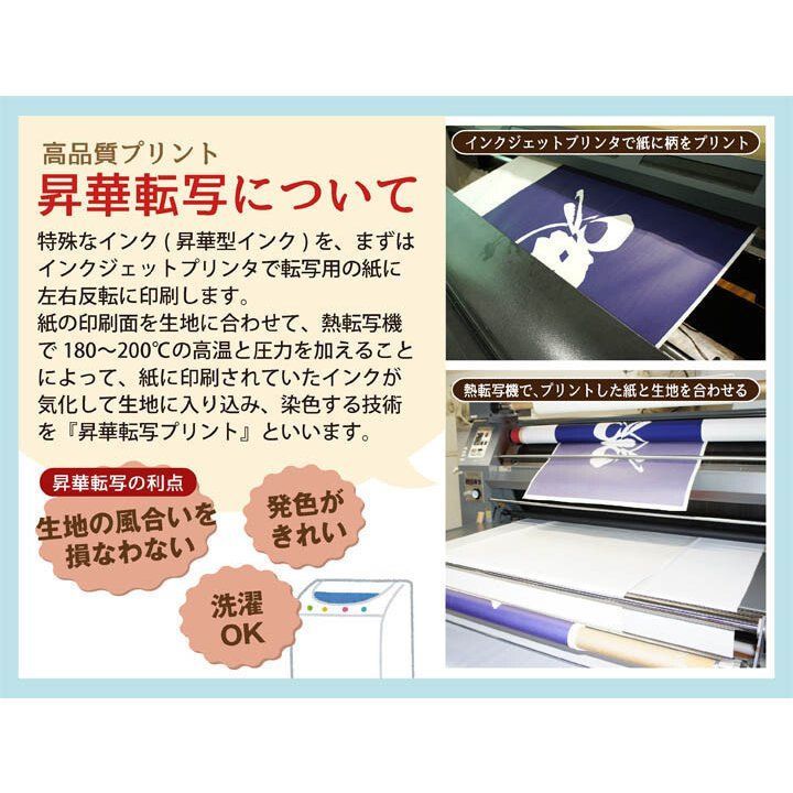 のれん　スヌーピー　PEANUTS　ピーナッツ・ギャング　85×150　日本製-8