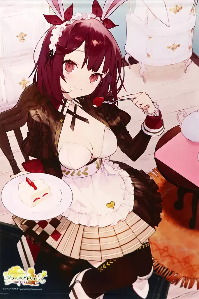 2025年最新】ソフィーのアトリエ2 b2ダブルスエードタペストリーの人気