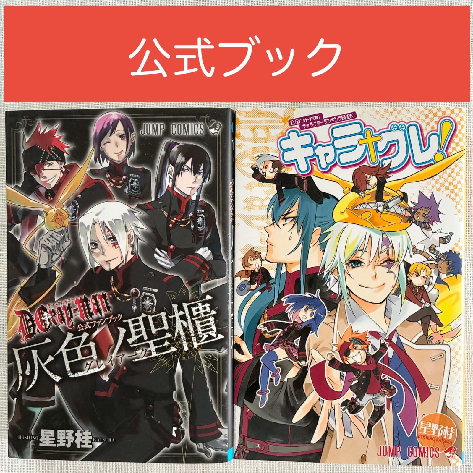 ディーグレイマン 漫画 小説 ファンブック ディーグレイマン 公式本 灰色ノ聖櫃 キャラグレ D.Gray-man