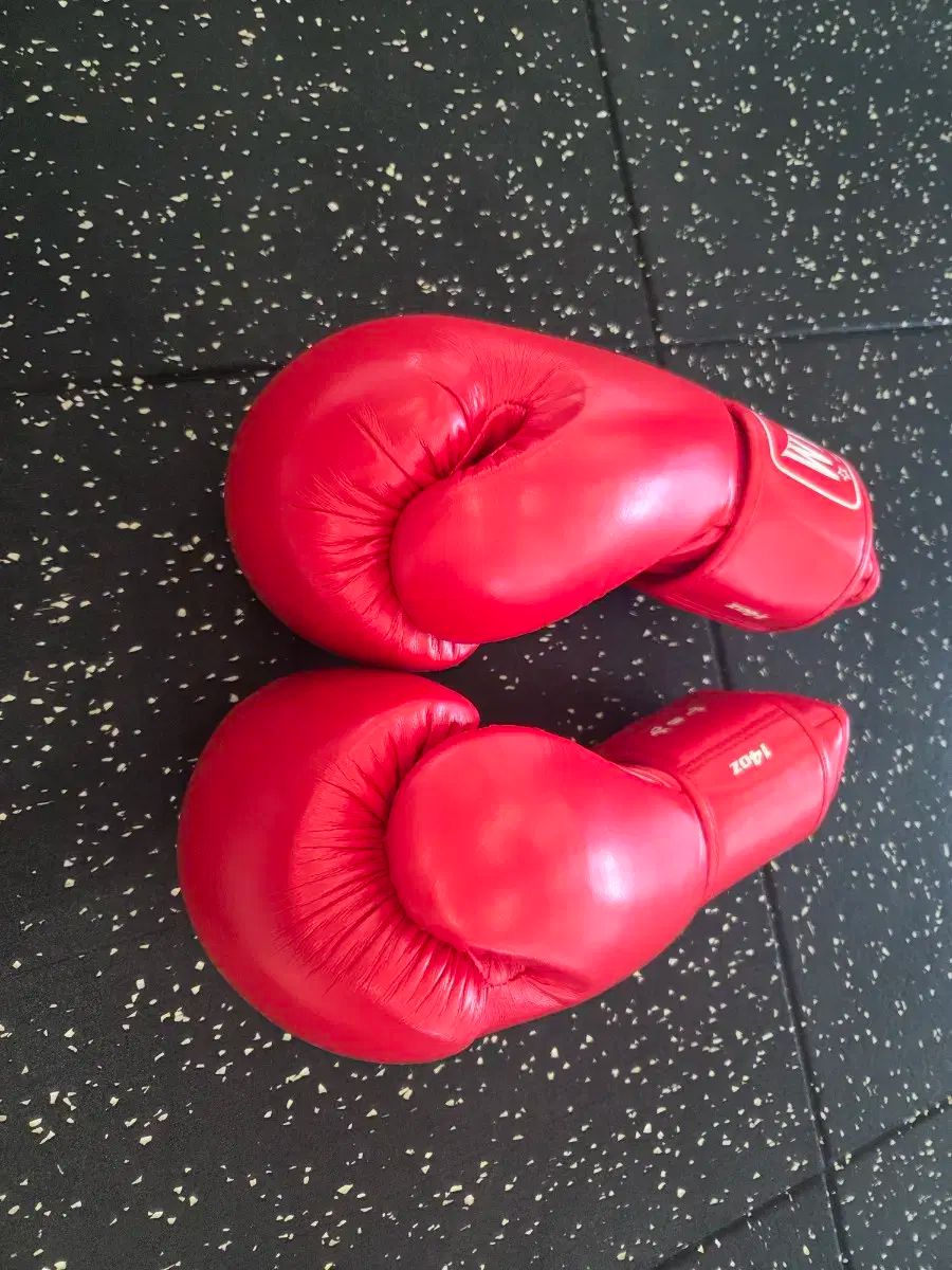 ISAMI BOXER 14 oz ボクシンググローブ 赤 BOXERボクシンググローブ 14