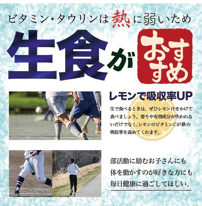 海の幸