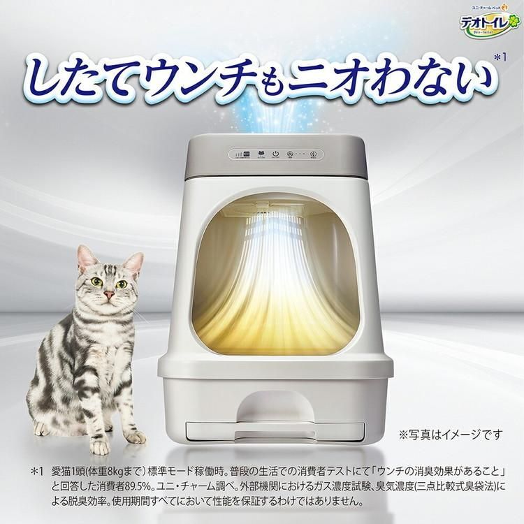 猫 トイレ