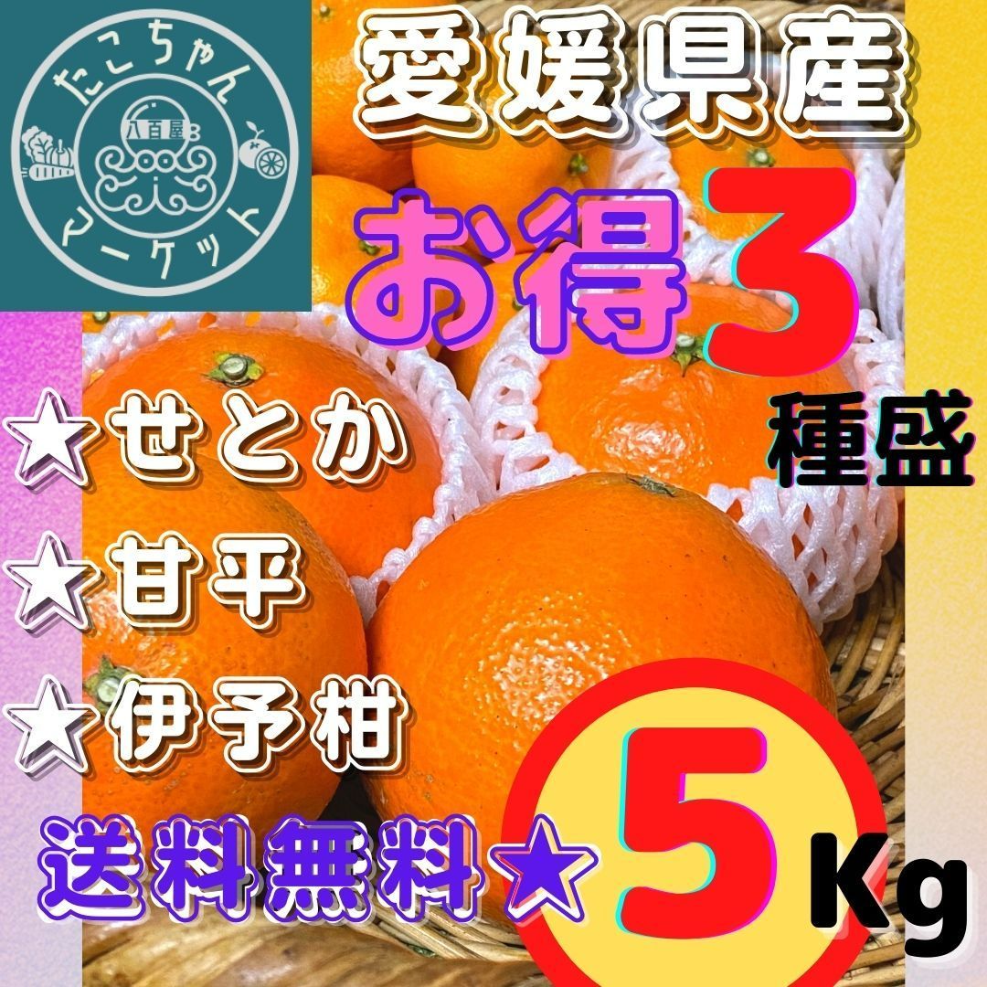 超セール☆旬のみかん3種食べ比べ】愛媛高級みかん 約5kg￥5800