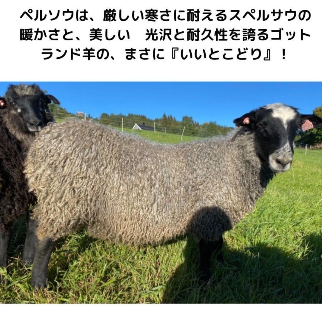 ペルソウ Pelseau