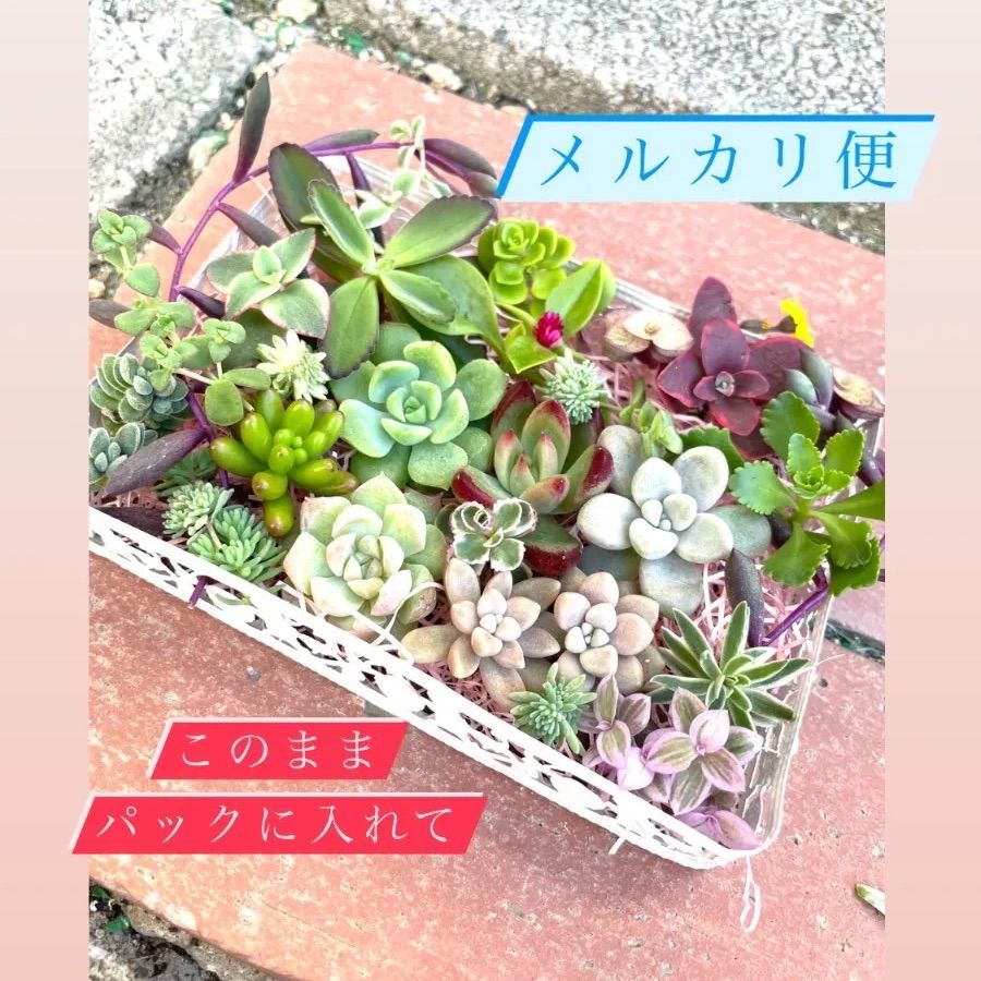 メルカリ