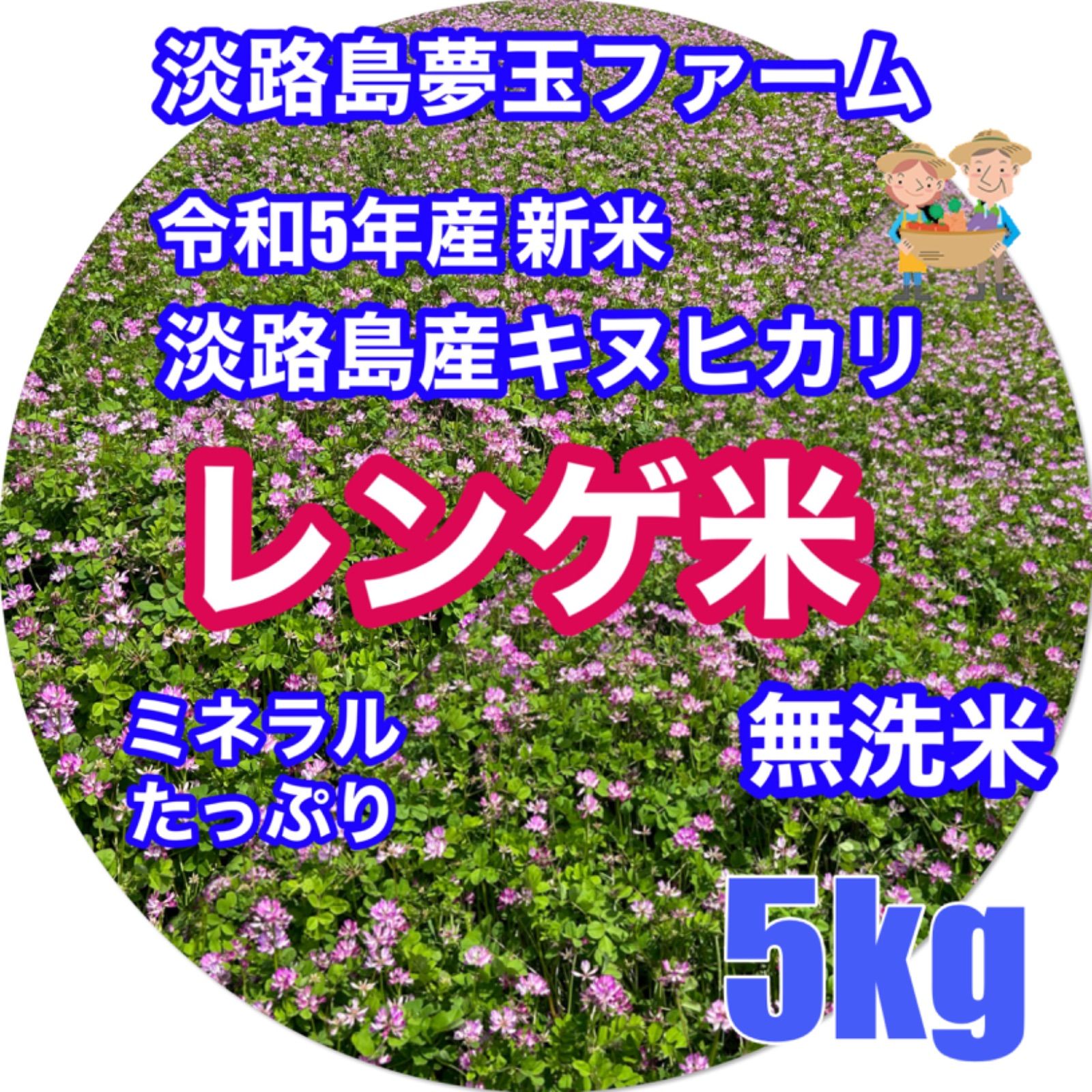 レンゲ米 令和5年新米 キヌヒカリ 5kg 無洗米 れんげ米 減農薬 淡路島