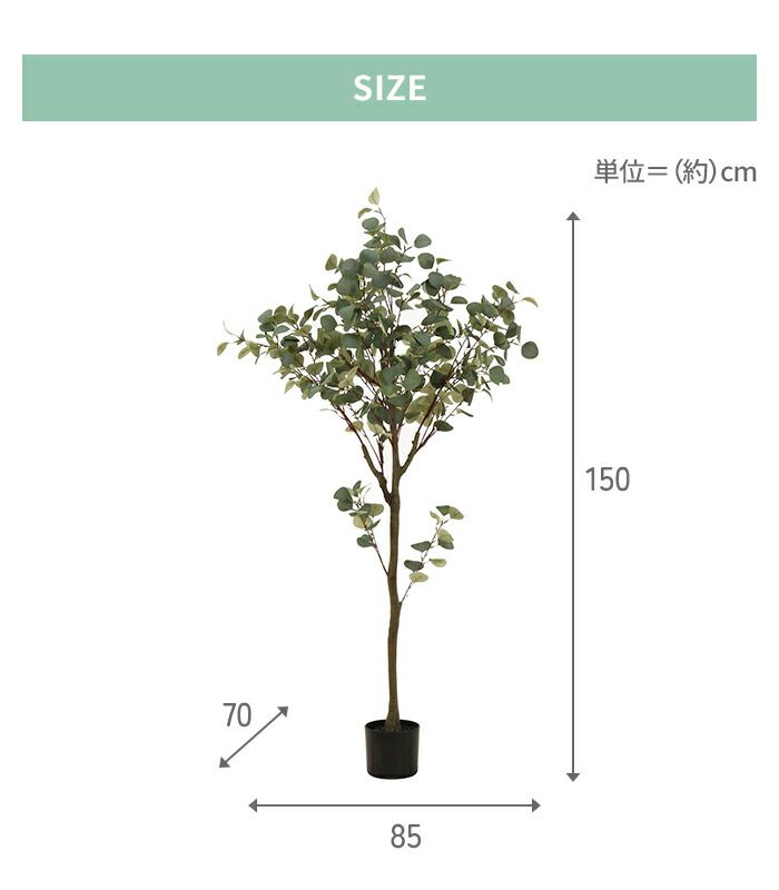 インテリアガーデン